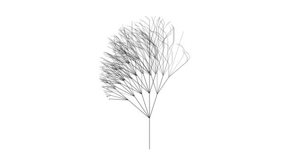 Desenho Uma Árvore Matemática Ramificação Aleatória Tree Structure — Vídeo de Stock