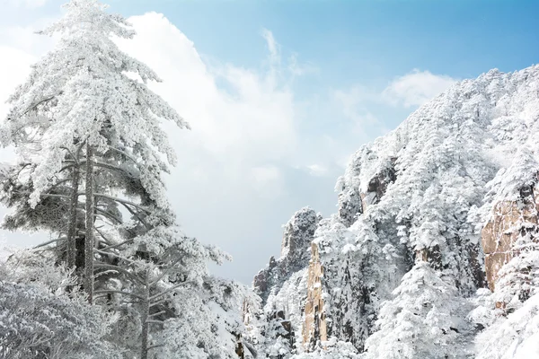 Schneeszene am Huangshan-Berg — Stockfoto