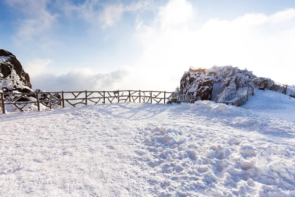 Schneeszene am Huangshan-Berg — Stockfoto