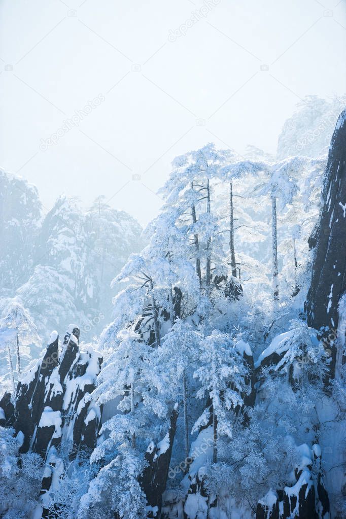 snow scene on Huangshan mountain 