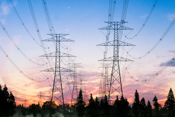 Power pylons i fältet — Stockfoto