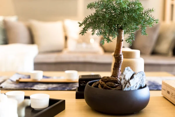 木制的桌子上的盆栽植物 — 图库照片