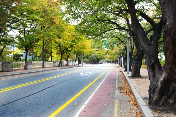 City road med gröna träd — Stockfoto