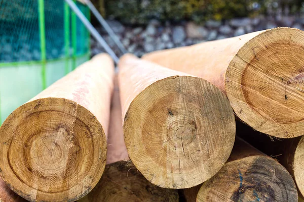 Pilas de troncos al aire libre —  Fotos de Stock