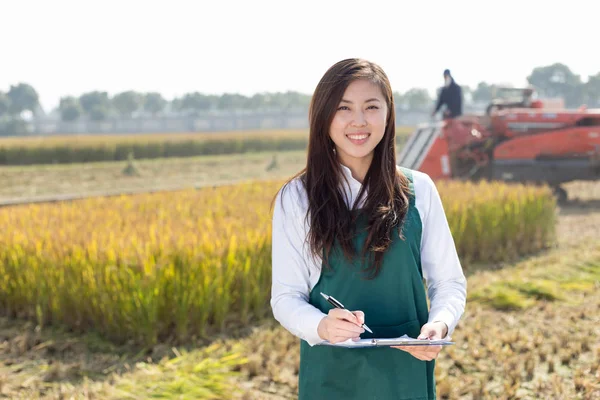 Woman agriculture engineer in cereal field — Stock Photo, Image