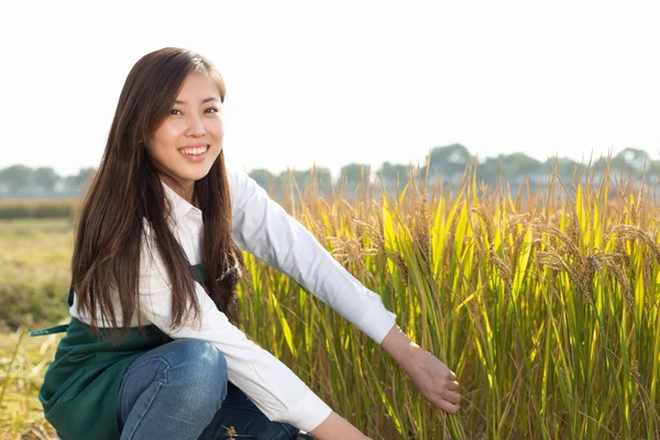 Woman agriculture engineer in cereal field — Stock Photo, Image