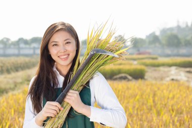 Mısır gevreği alanında kadının Ziraat Mühendisi