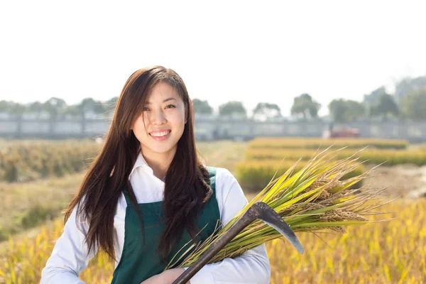 Donna ingegnere agricolo in campo cerealicolo — Foto Stock