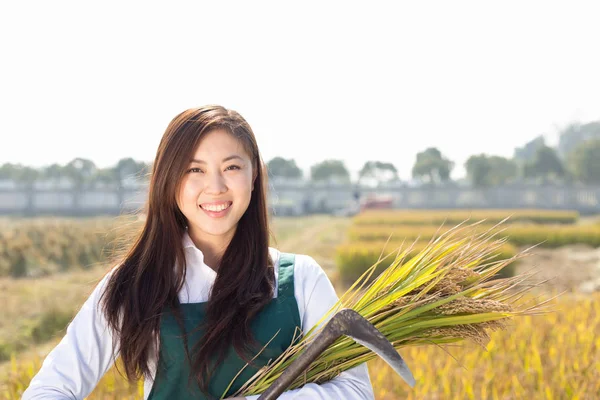 Vrouw landbouw ingenieur in granen veld — Stockfoto