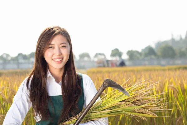Donna ingegnere agricolo in campo cerealicolo — Foto Stock