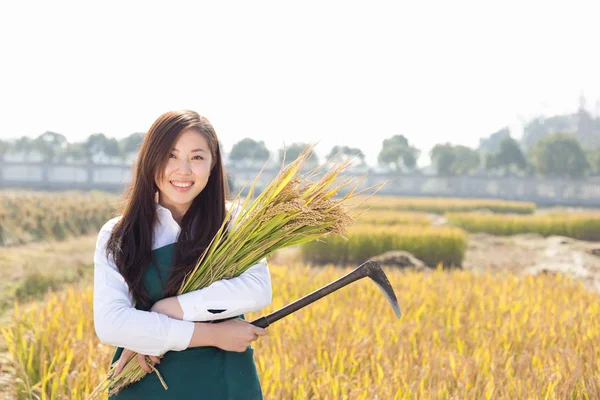 Landwirtschaftsingenieurin im Getreidefeld — Stockfoto