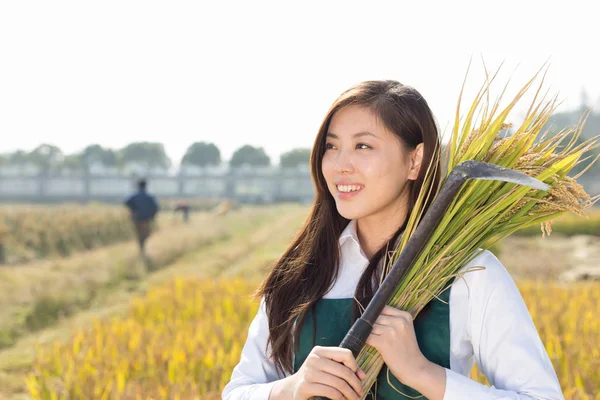 Woman agriculture engineer in cereal field — Stock Photo, Image