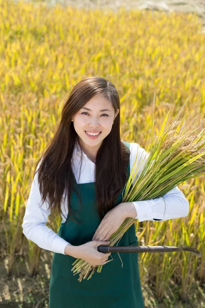 Mulher engenheiro agrícola no campo dos cereais — Fotografia de Stock