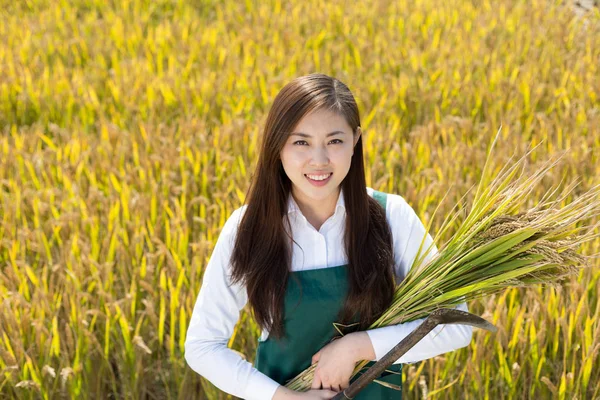 Donna ingegnere agricolo in campo cerealicolo — Foto Stock