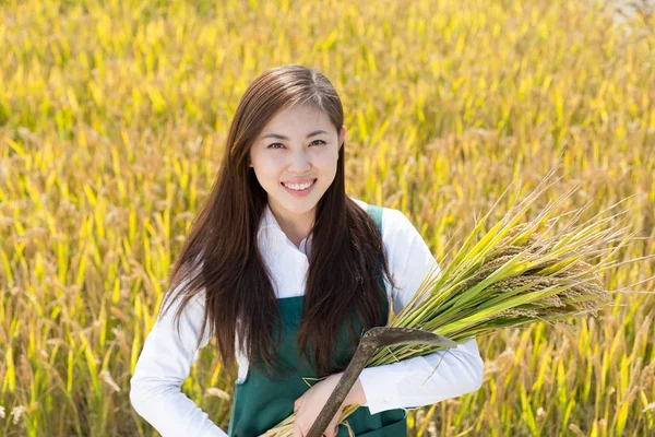 Woman agriculture engineer in cereal field — Stock Photo, Image