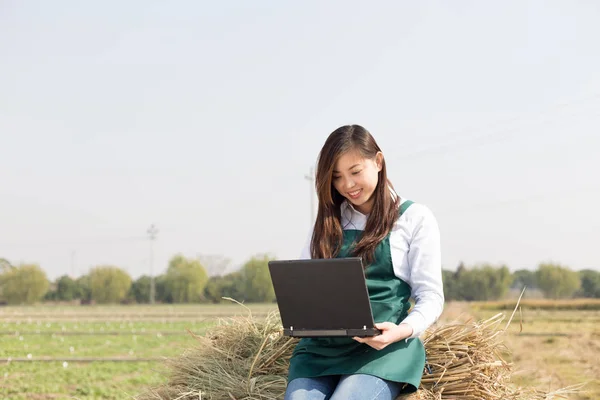 Woman agronomist working in golden field — Stock Photo, Image