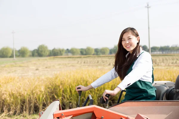 Mulher agrônomo no campo de cereais com colheitadeira — Fotografia de Stock