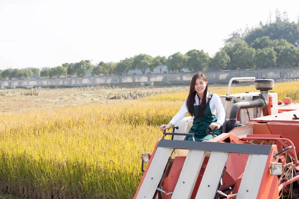 Woman agronomist in cereal field with harvester — Stock Photo, Image