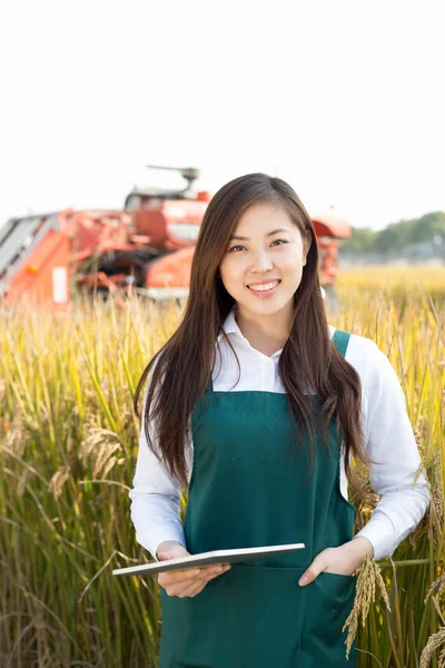 Mulher agrônomo no campo de cereais com colheitadeira — Fotografia de Stock