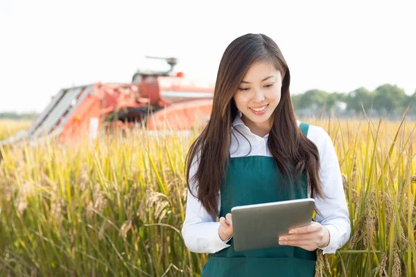 Woman agronomist in cereal field with harvester — Stock Photo, Image