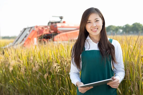 Женщина-агроном на зерновом поле с комбайном — стоковое фото