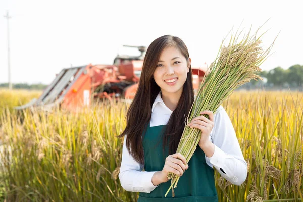 Mulher agrônomo no campo de cereais com colheitadeira — Fotografia de Stock