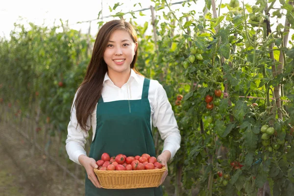asian woman works in green field