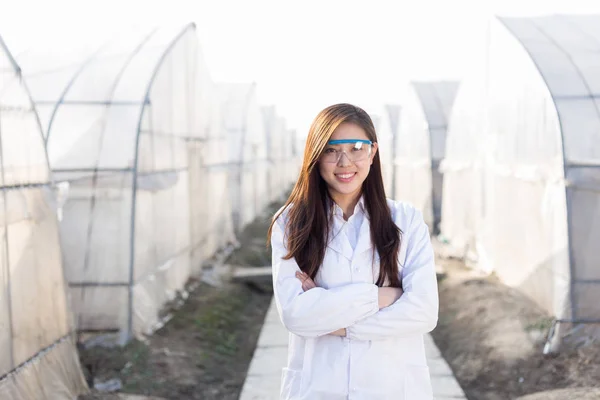 chinese woman agronomist working in greenhouse