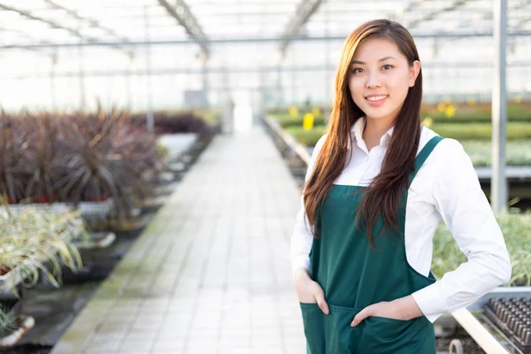 Junge Asiatin arbeitet im Gewächshaus — Stockfoto