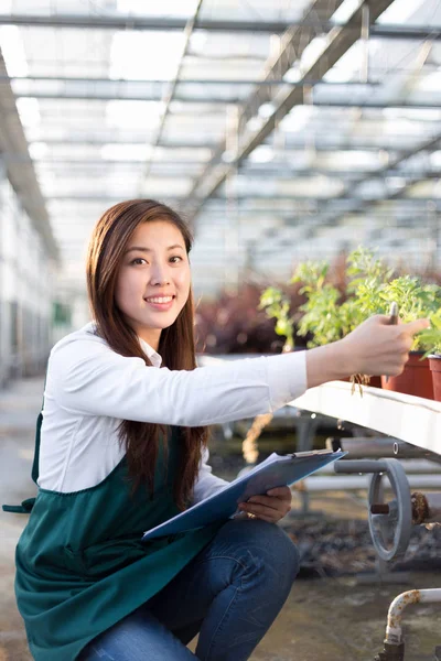 Junge Asiatin arbeitet im Gewächshaus — Stockfoto