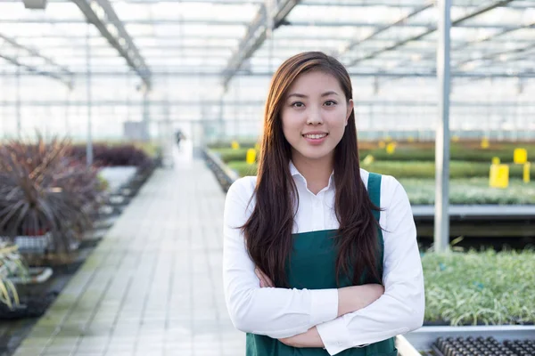 年轻的亚洲女子工程在温室 — 图库照片