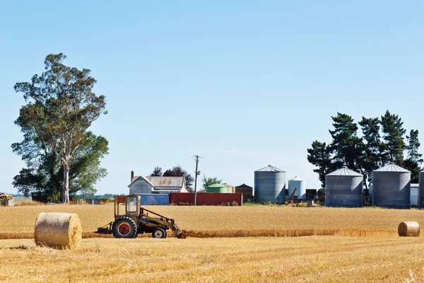 Goldenes Weizenfeld an einem Sommertag — Stockfoto