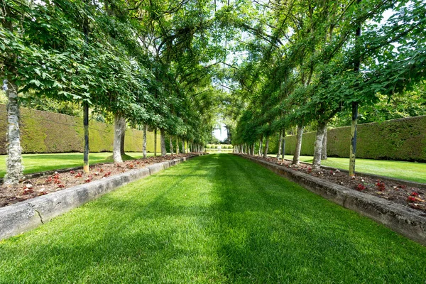 Green footpath under steel frame in park — Stock Photo, Image