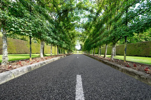 Empty road under steel frame in park — Stock Photo, Image