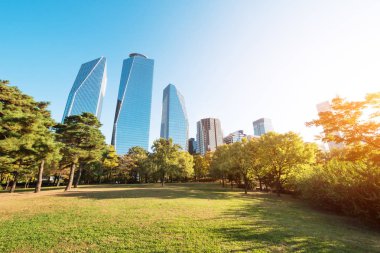 sonbaharın güzel Parkı