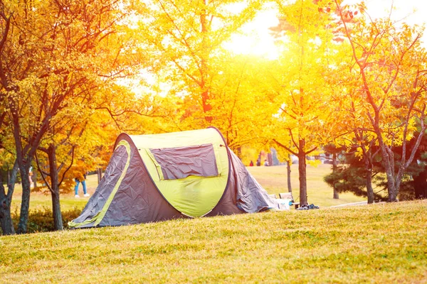 Sonbaharda plastik çadır ile altın orman — Stok fotoğraf