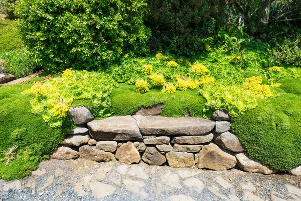 Lege stenen bankje in prachtig park — Stockfoto