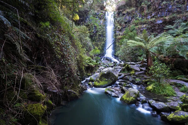 Hermoso arroyo en bosque verde —  Fotos de Stock