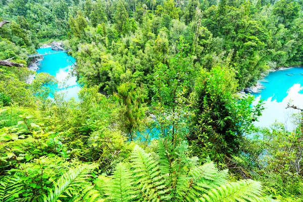 Blauwe vijver met bridge in het groene woud — Stockfoto