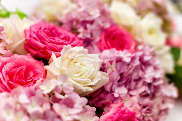 Vackra färska rosor — Stockfoto