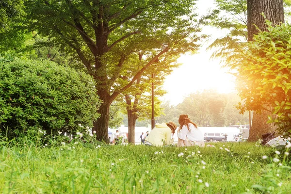 Paesaggio di bellissimo parco — Foto Stock