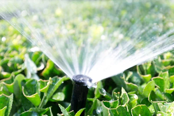 Sprinkler in green plant — Stock Photo, Image