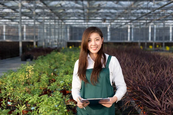 Junge Asiatin arbeitet im Gewächshaus — Stockfoto