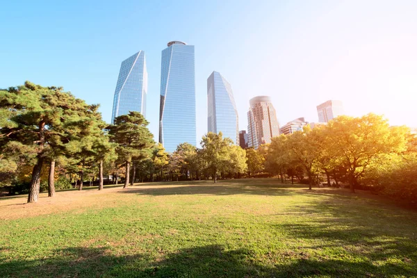 Hermoso Parque Público Cielo Soleado Otoño —  Fotos de Stock