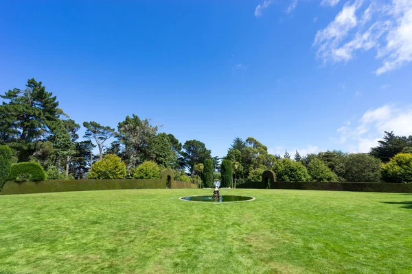 Beautiful green grass in park — Stock Photo, Image