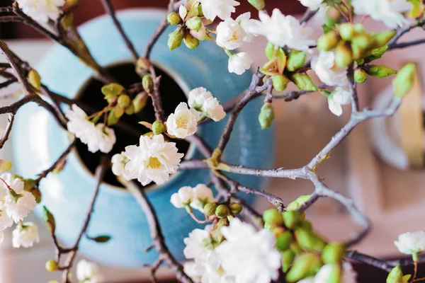 Eleganci japonského stylu čajový set — Stock fotografie