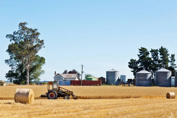 Campo de trigo dourado no dia de verão — Fotografia de Stock