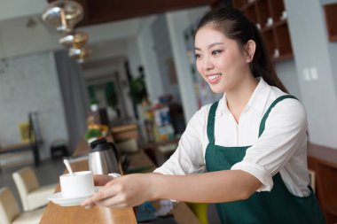 genç güzel kadın kafede çalışıyor