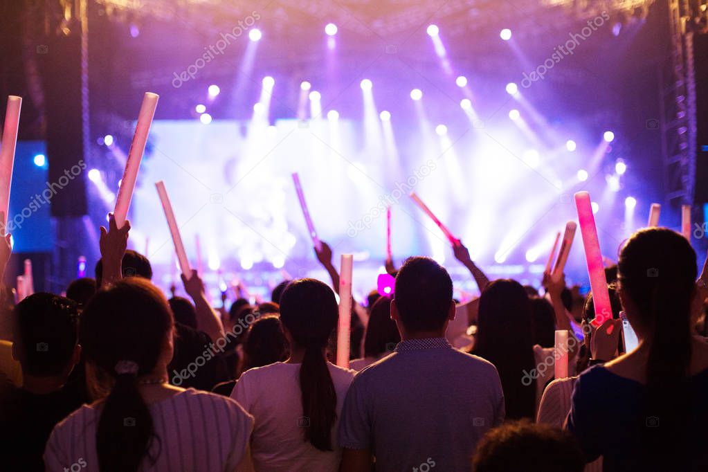 crowded people in living concert event