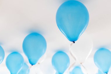 Mavi balon doğum günü partisi içinde